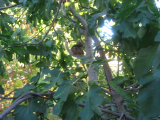 IMG_0117.JPG