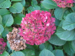 IMG_0119.JPG
